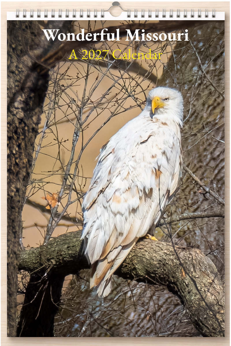 Wonderful Missouri: A 2027 Calendar