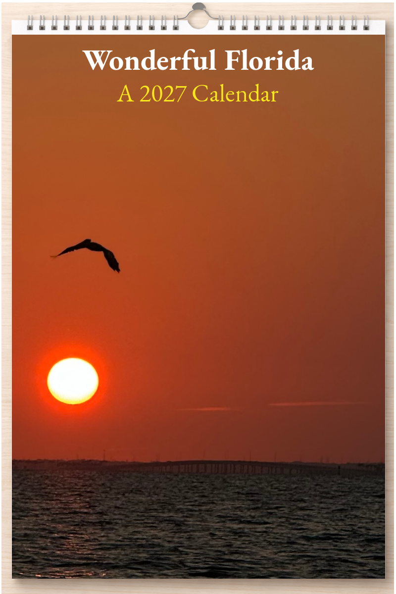 Wonderful Florida: A 2027 Calendar