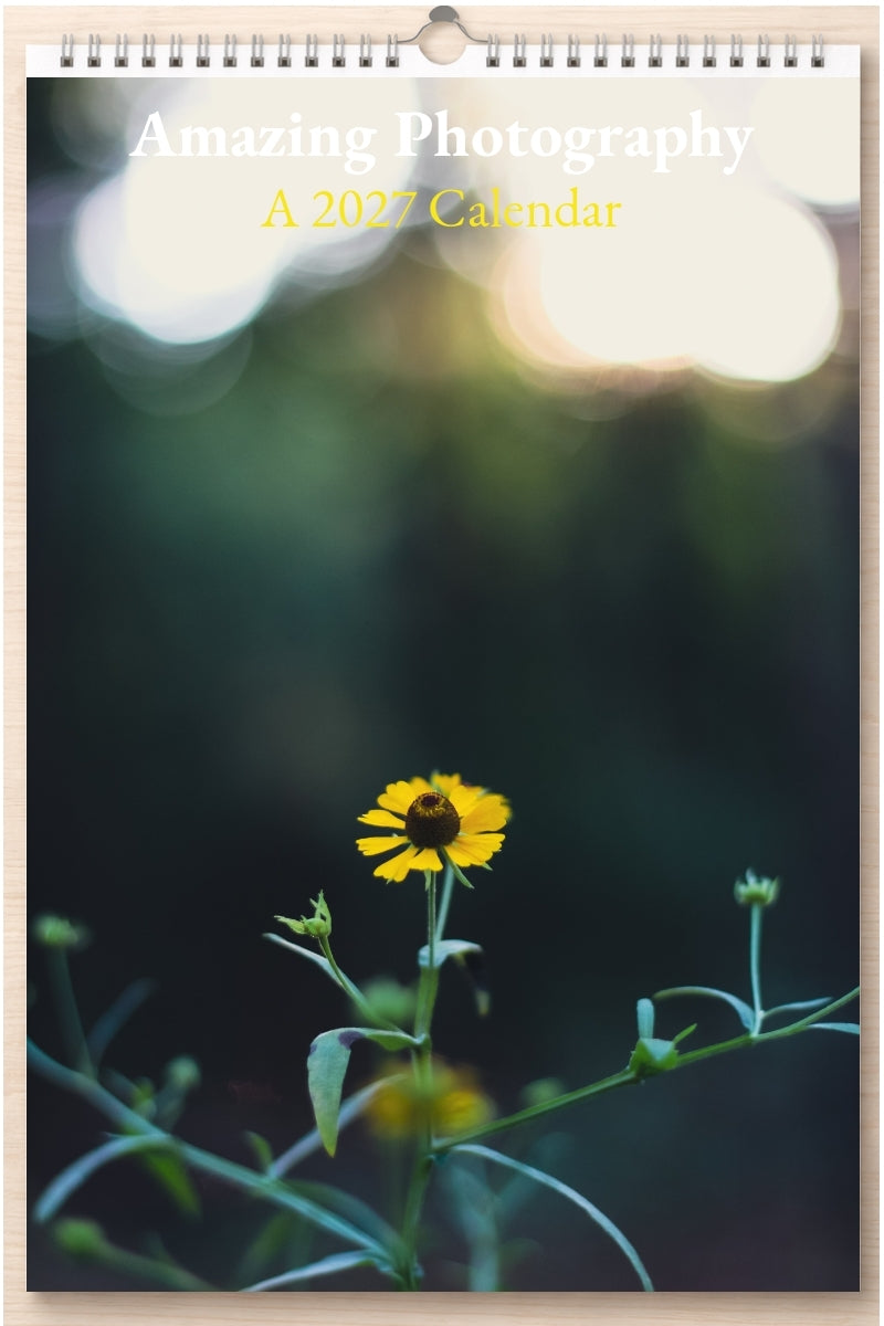 Amazing Photography: A 2027 Calendar