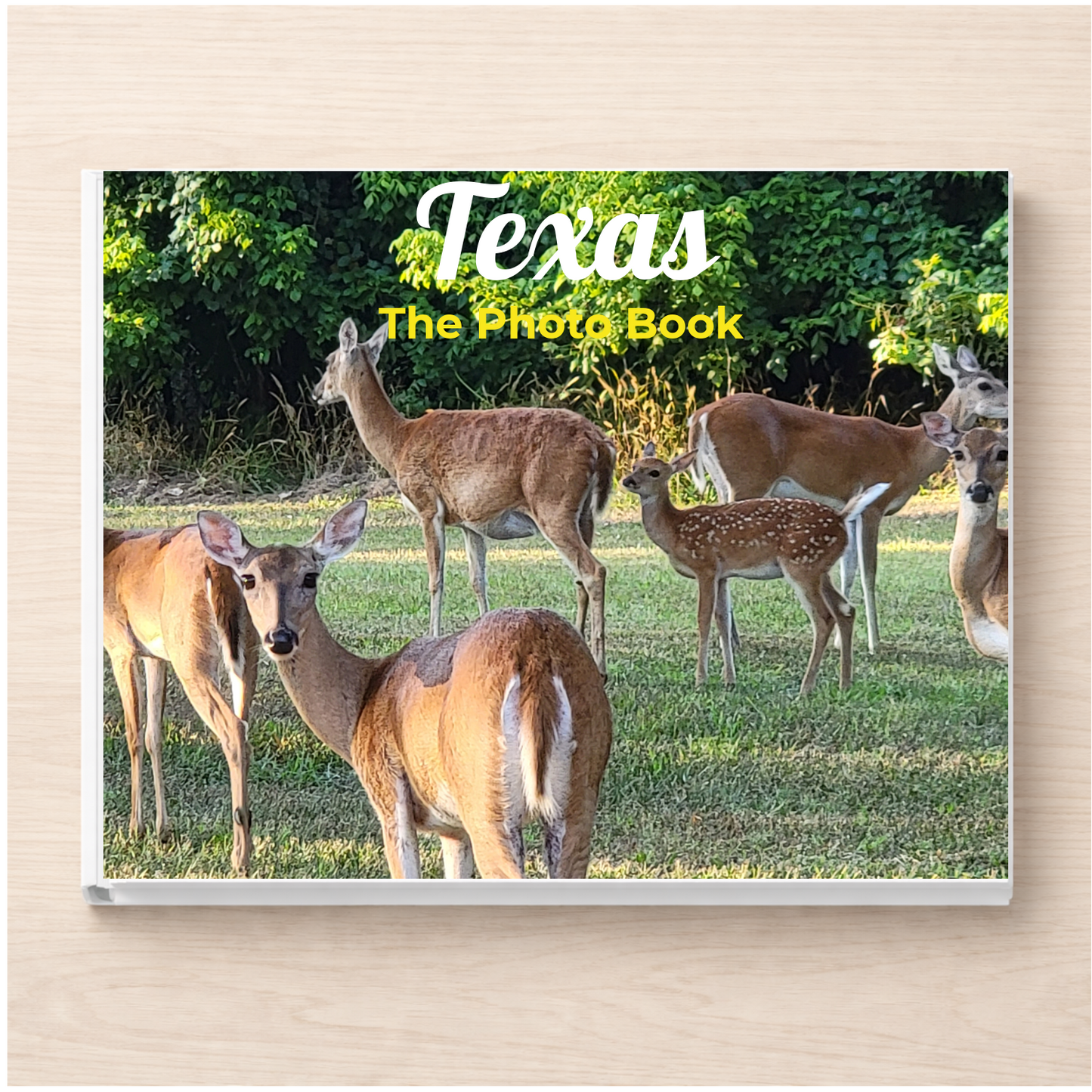 Texas: The Photo Book