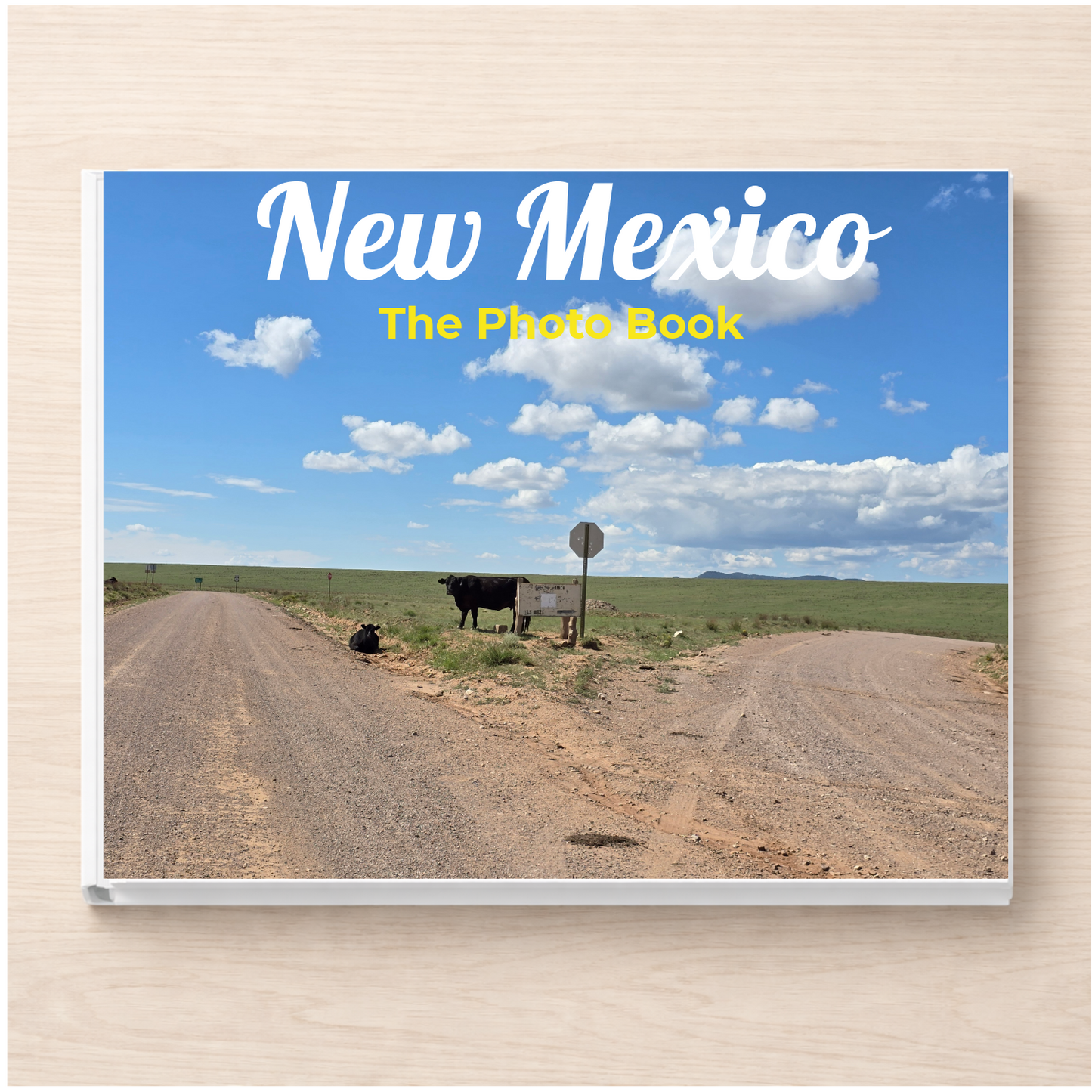 New Mexico: The Photo Book