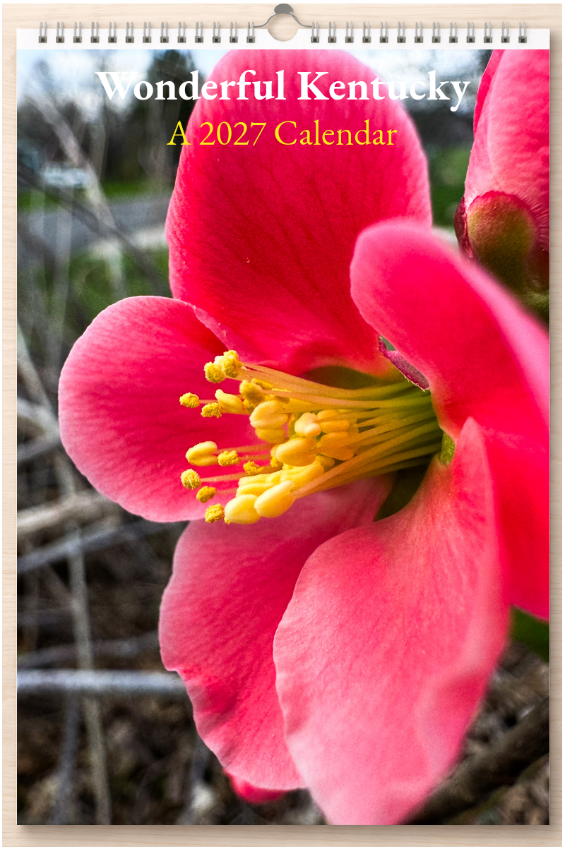 Wonderful Kentucky: A 2027 Calendar