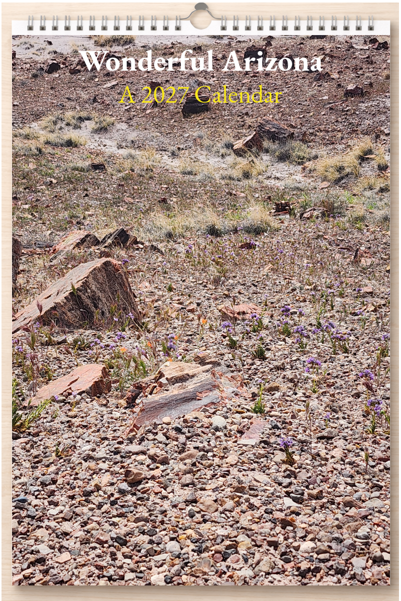 Wonderful Arizona: A 2027 Calendar