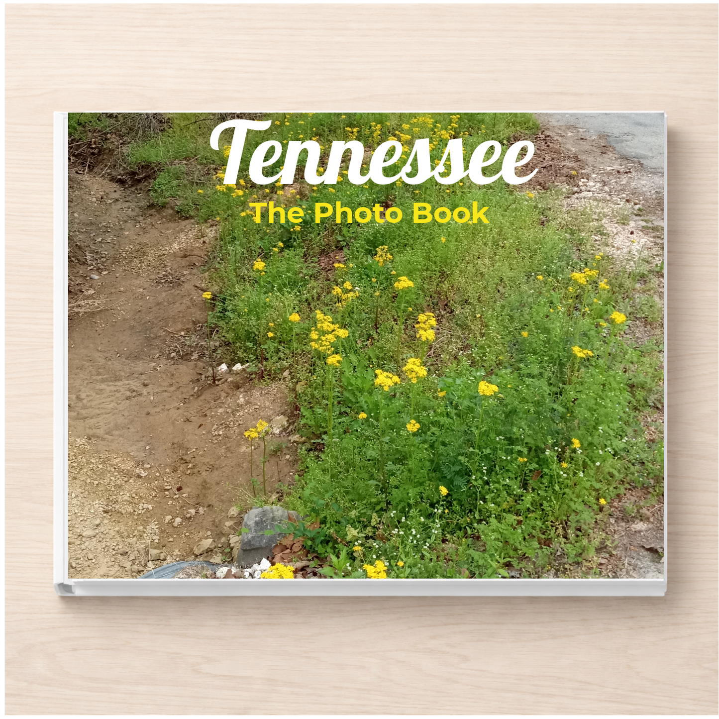 Tennessee: The Photo Book