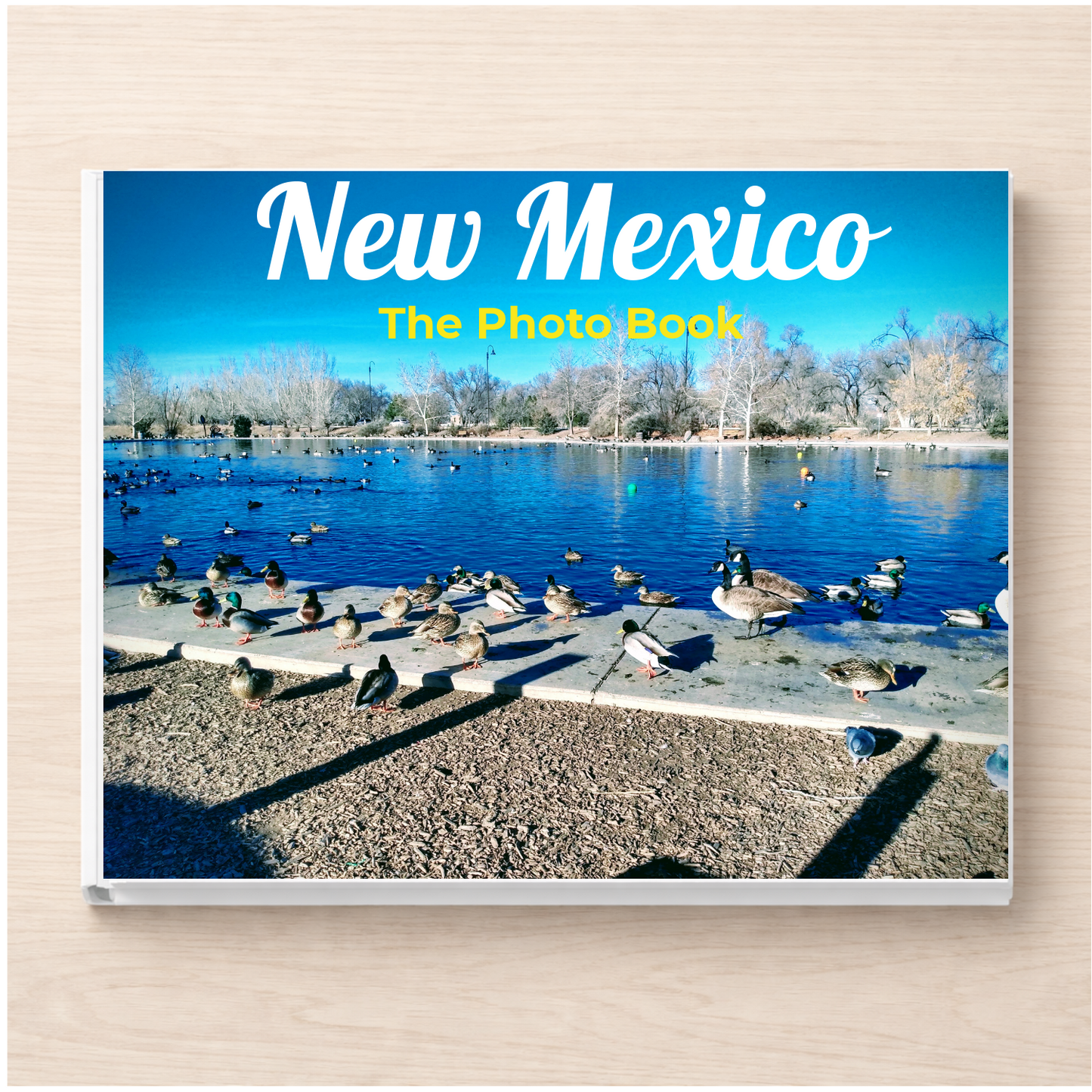 New Mexico: The Photo Book
