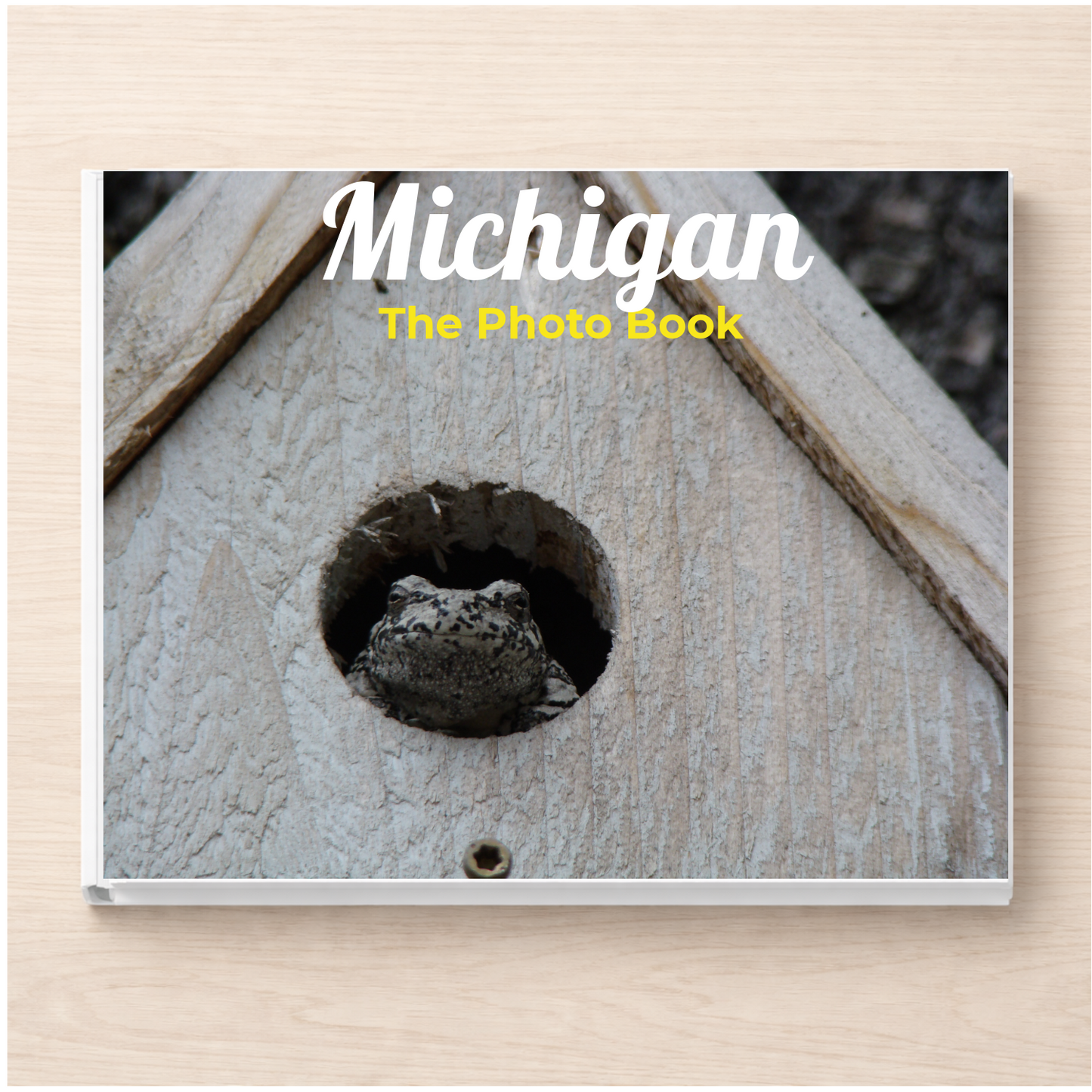 Michigan: The Photo Book