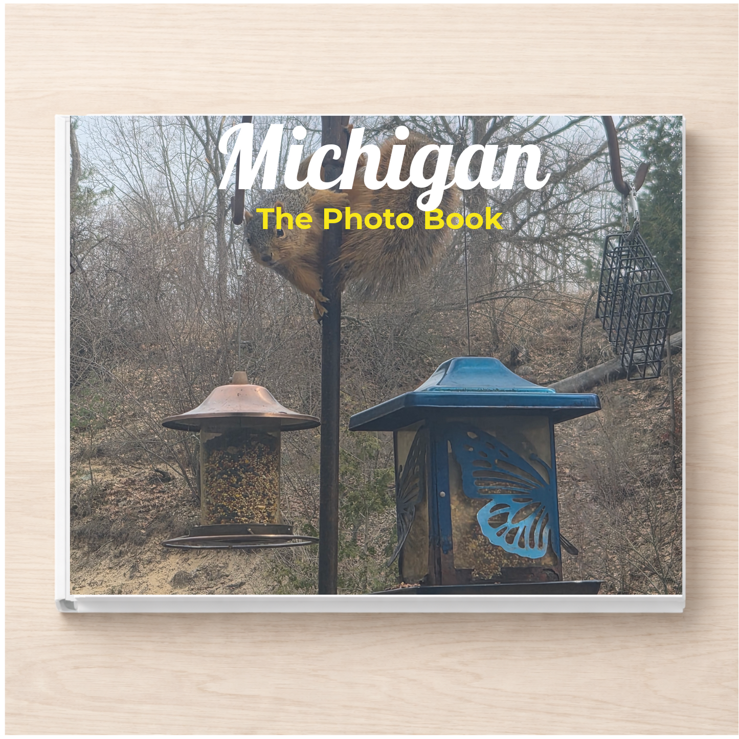 Michigan: The Photo Book