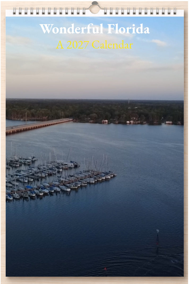 Wonderful Florida: A 2027 Calendar