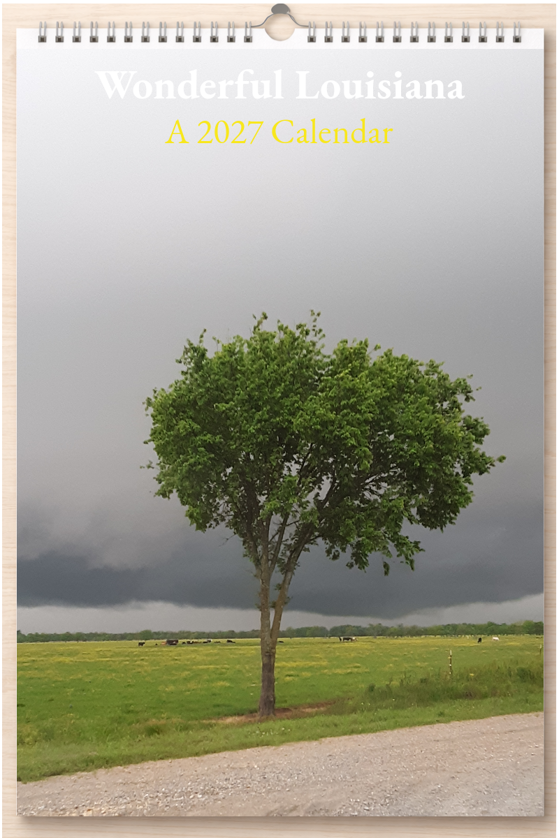 Wonderful Louisiana: A 2027 Calendar