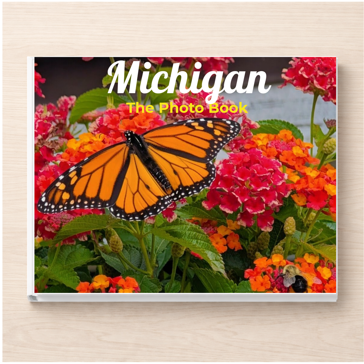Michigan: The Photo Book