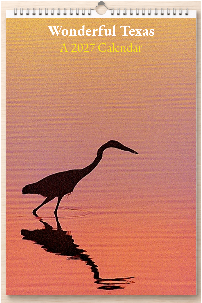 Wonderful Texas: A 2027 Calendar