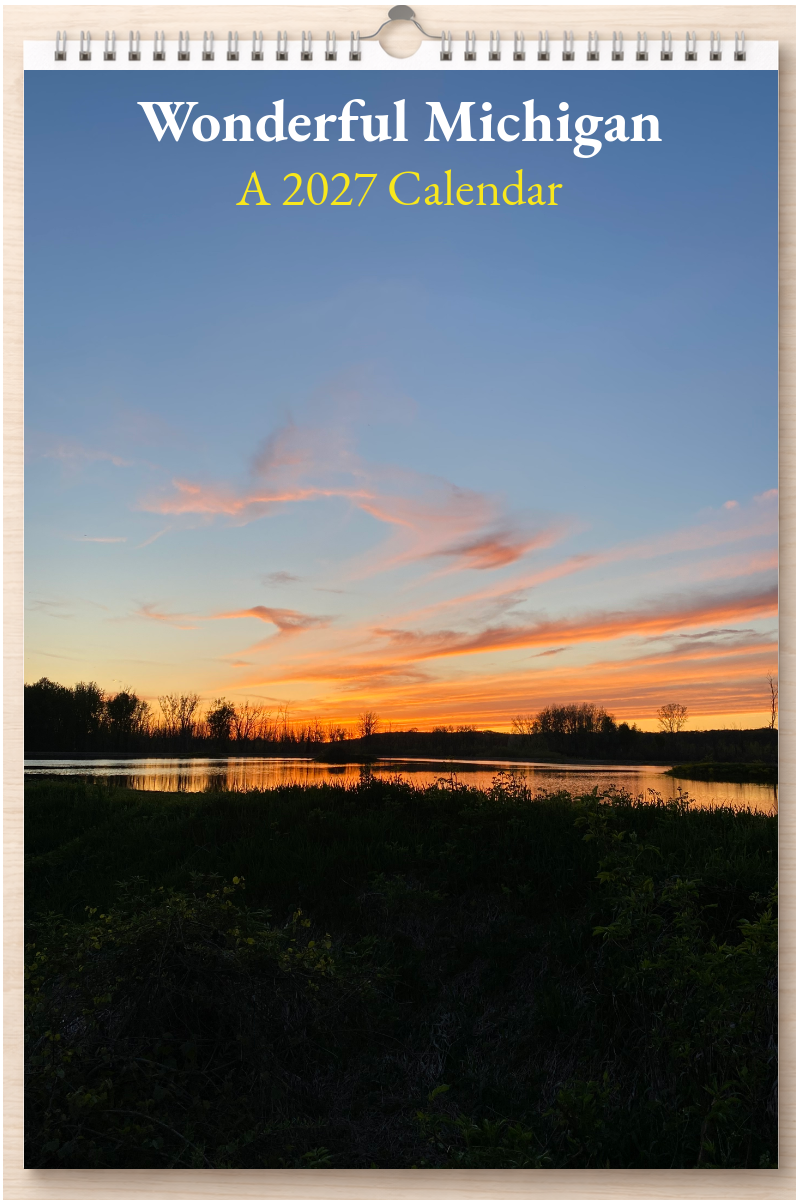 Wonderful Michigan: A 2027 Calendar