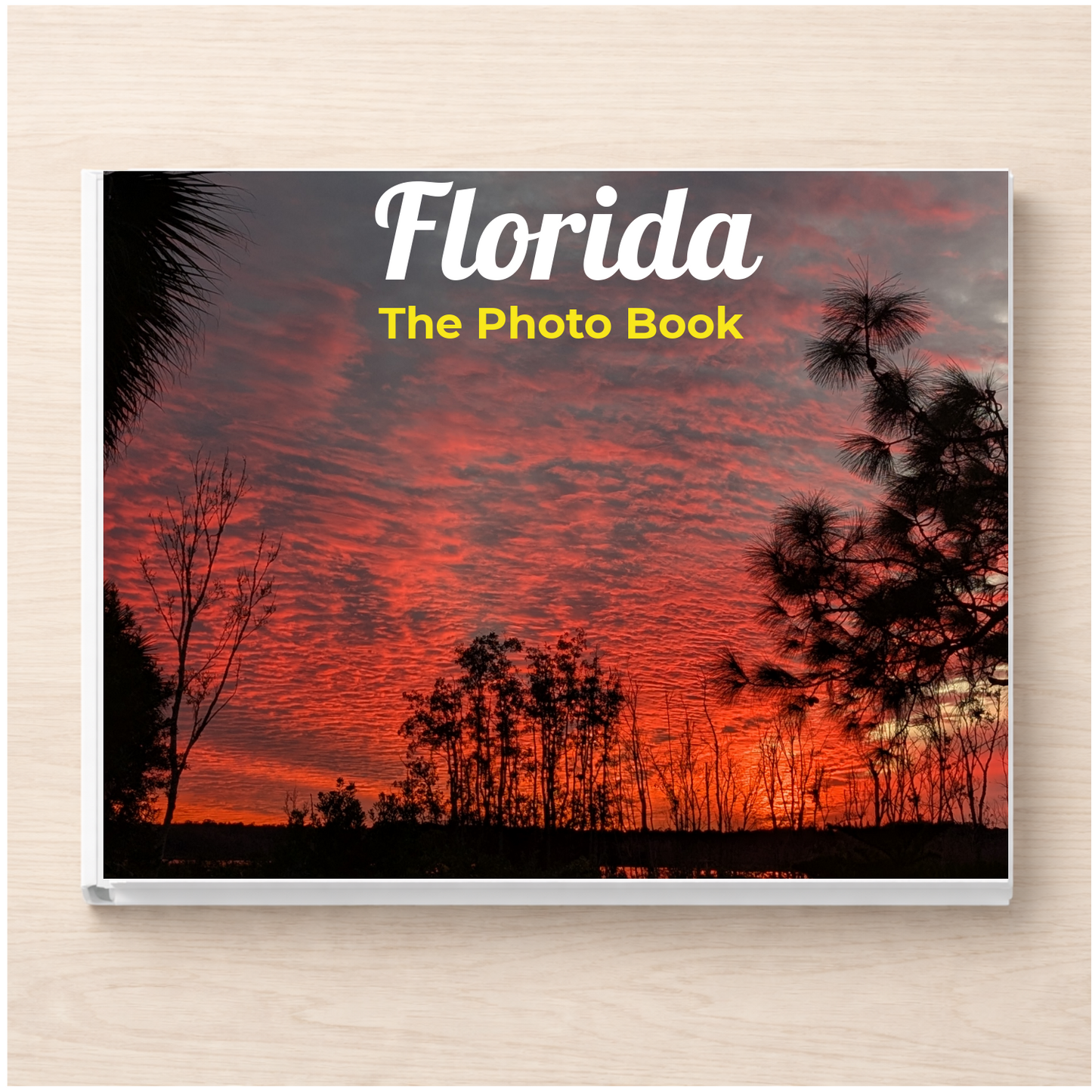 Florida: The Photo Book