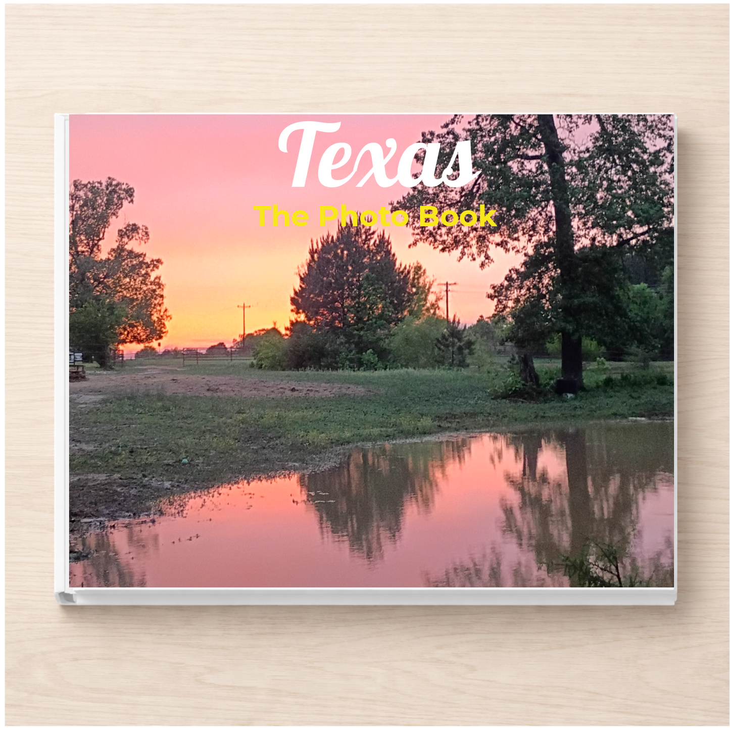 Texas: The Photo Book