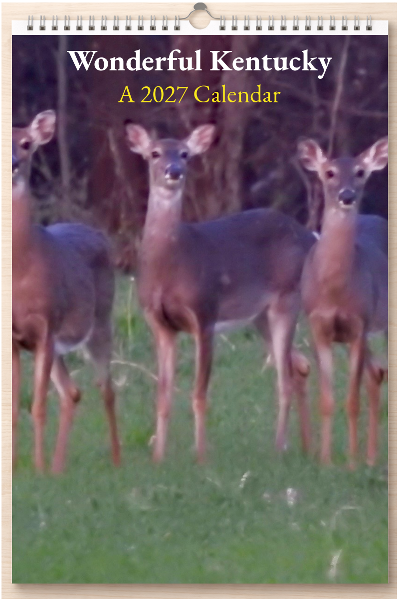Wonderful Kentucky: A 2027 Calendar