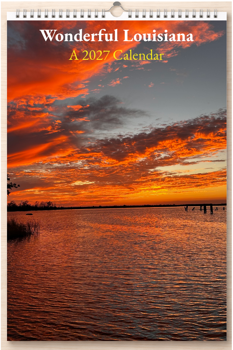 Wonderful Louisiana: A 2027 Calendar