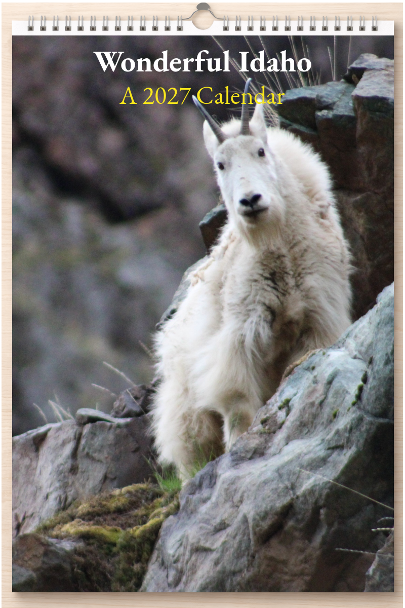 Wonderful Idaho: A 2027 Calendar