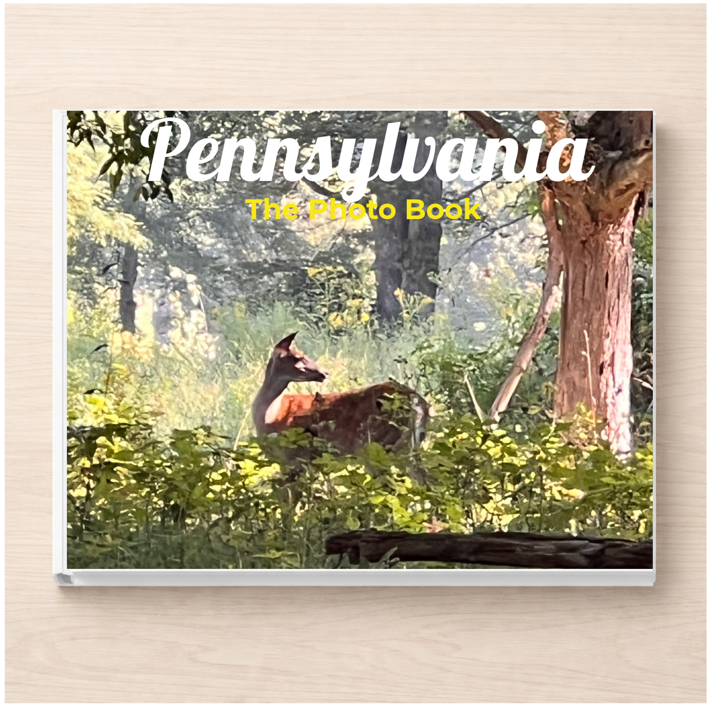 Pennsylvania: The Photo Book