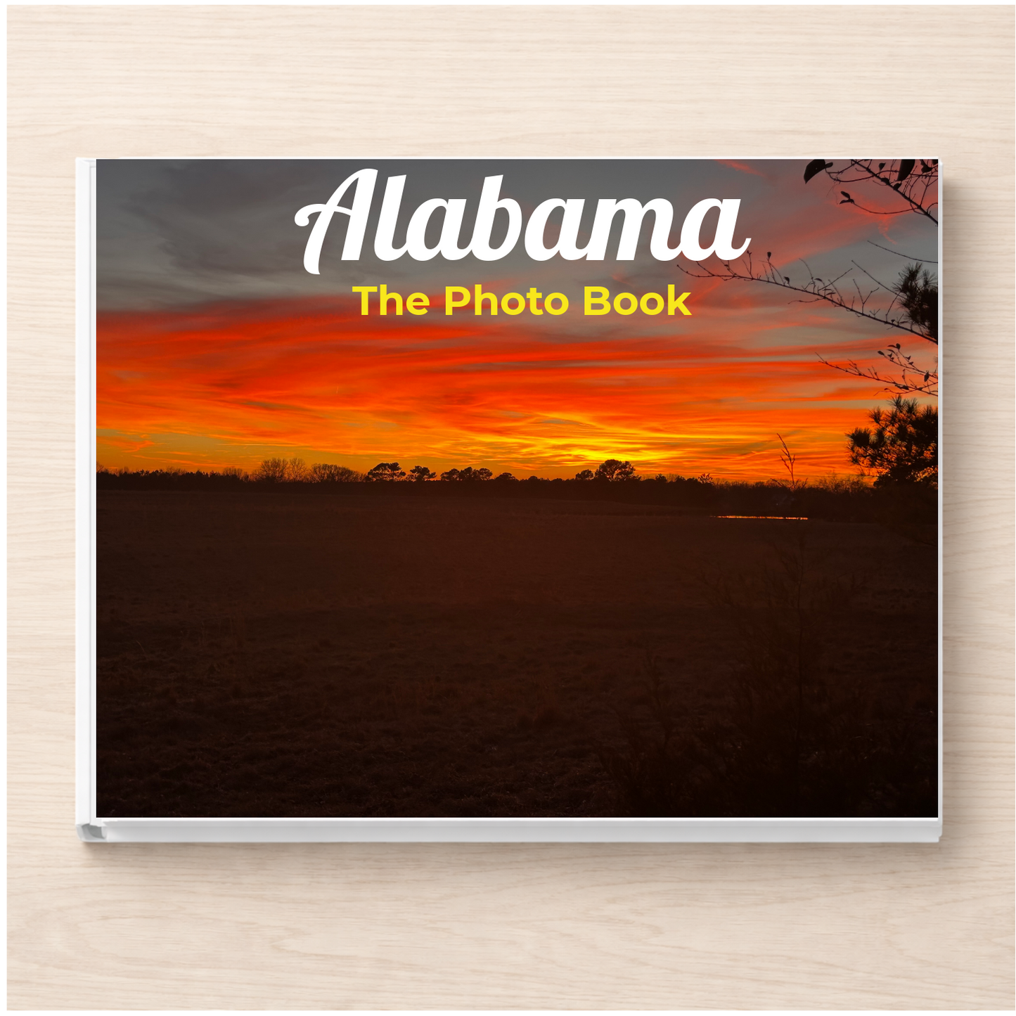 Alabama: The Photo Book