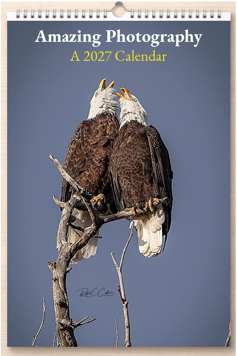 Amazing Photography: A 2027 Calendar