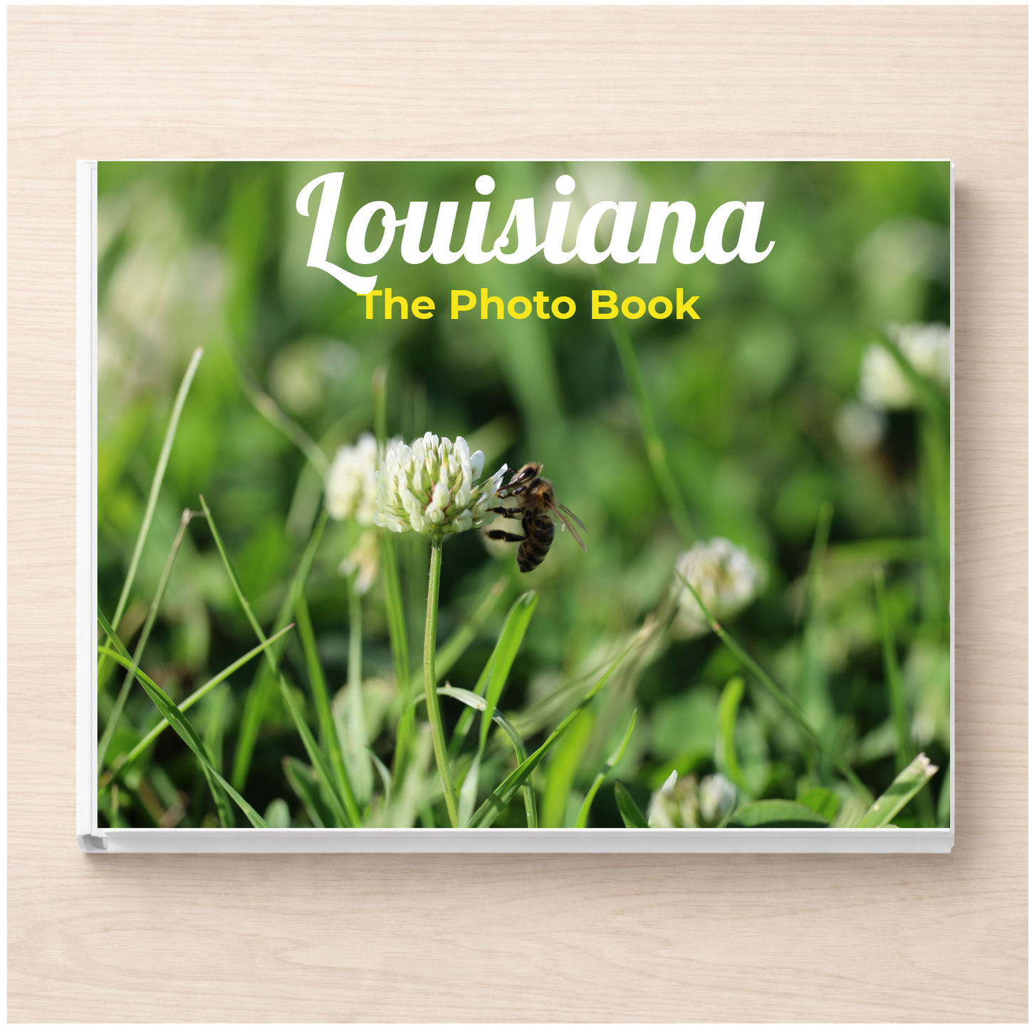 Louisiana: The Photo Book