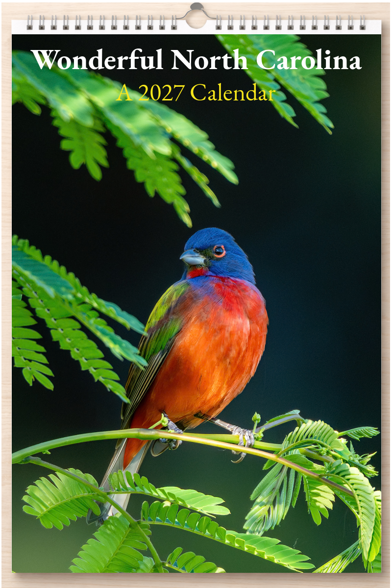 Wonderful North Carolina: A 2027 Calendar