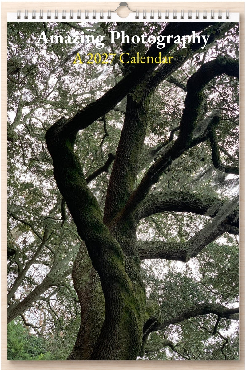 Amazing Photography: A 2027 Calendar
