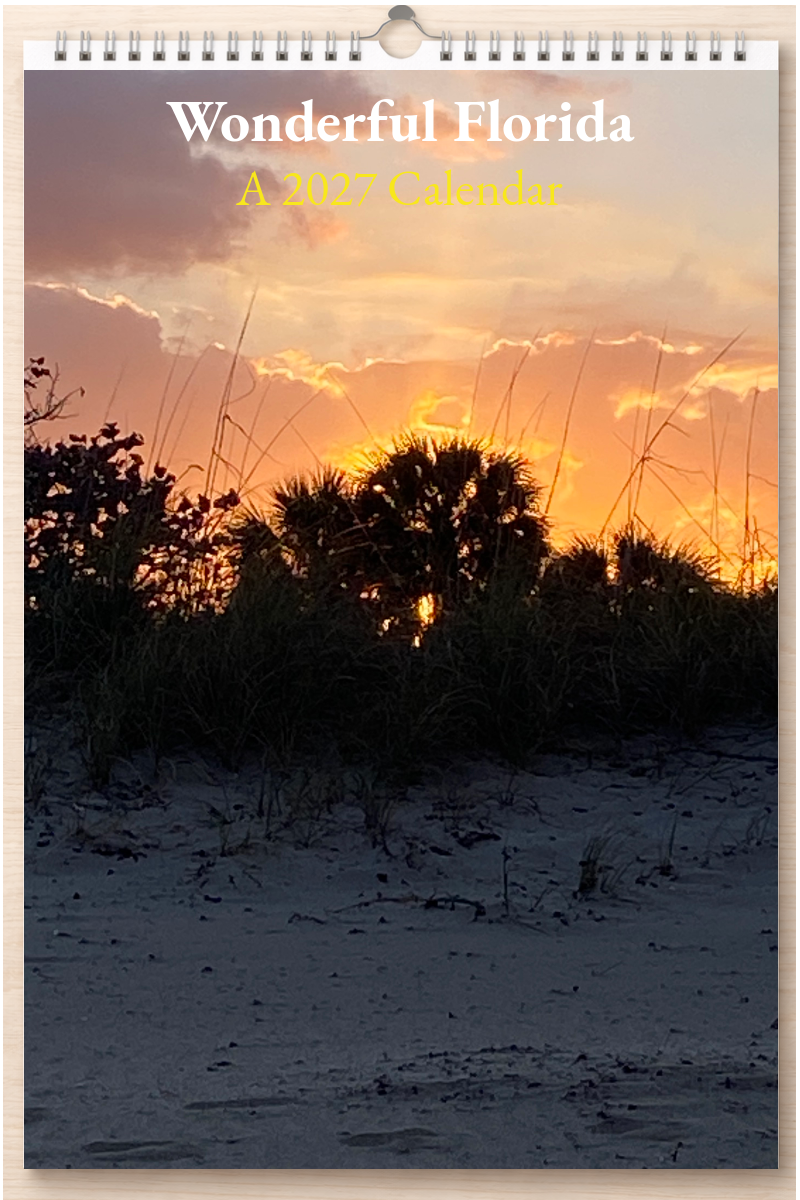 Wonderful Florida: A 2027 Calendar