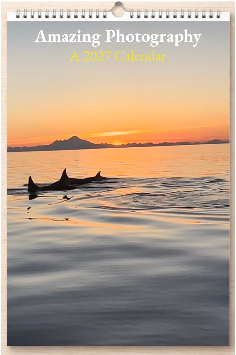 Amazing Photography: A 2027 Calendar