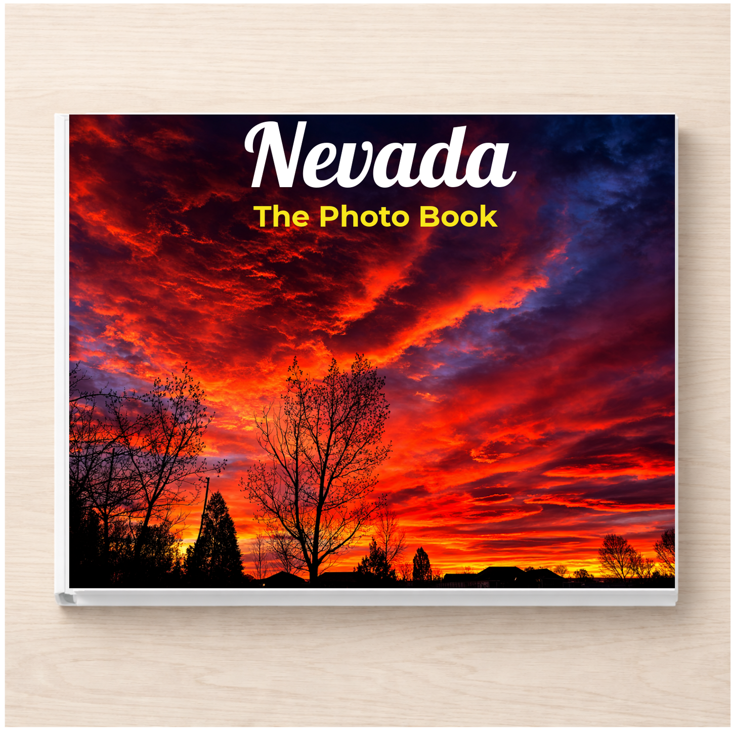 Nevada: The Photo Book