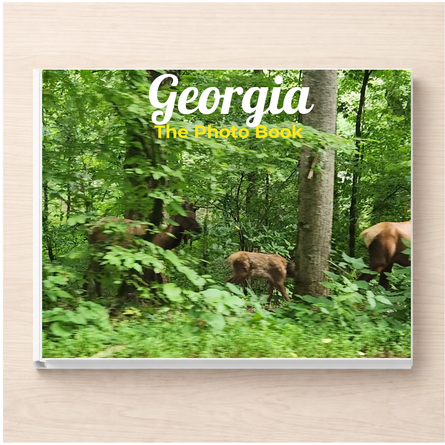 Georgia: The Photo Book