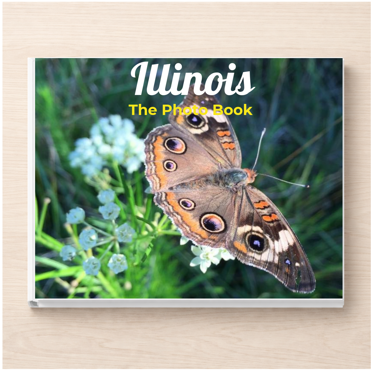 Illinois: The Photo Book