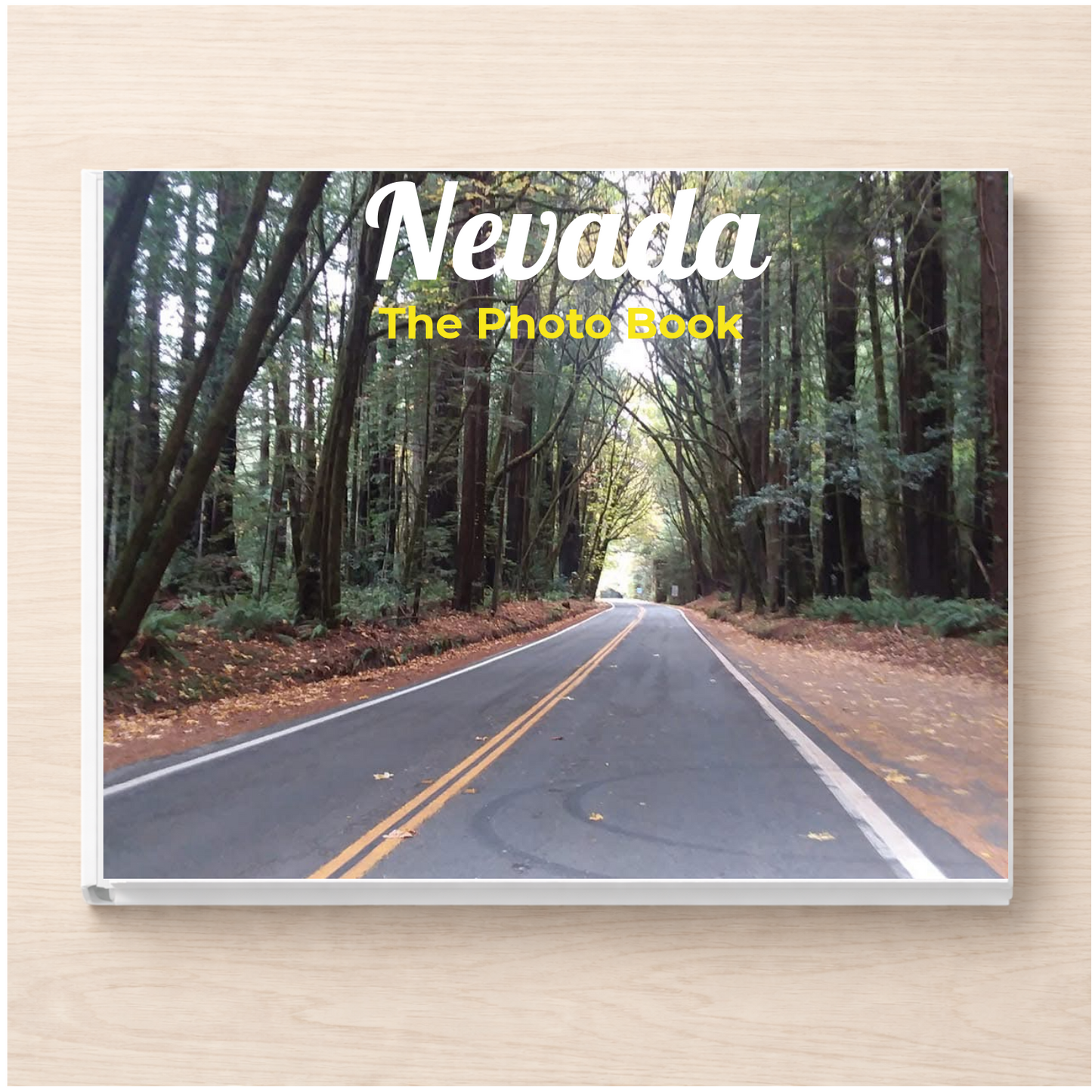 Nevada: The Photo Book
