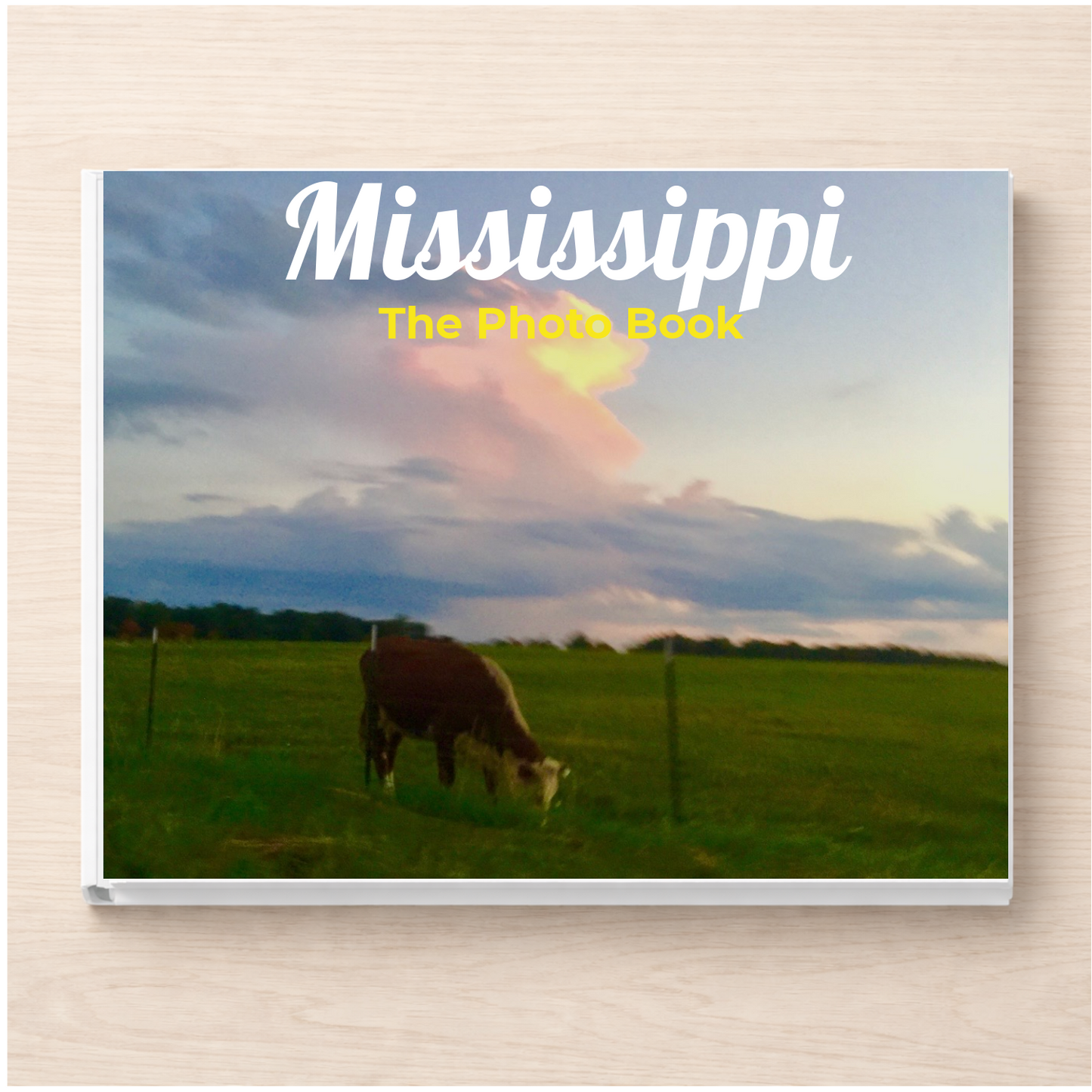 Mississippi: The Photo Book
