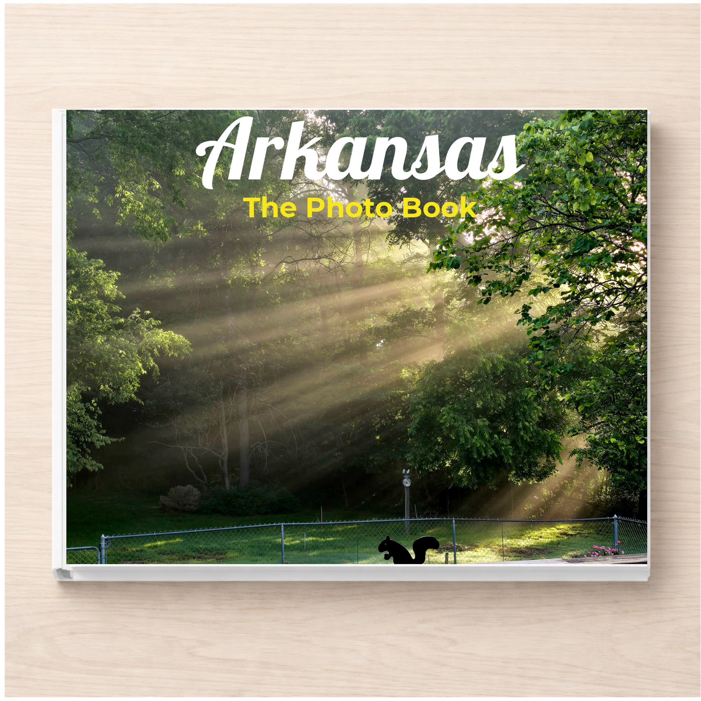 Arkansas: The Photo Book