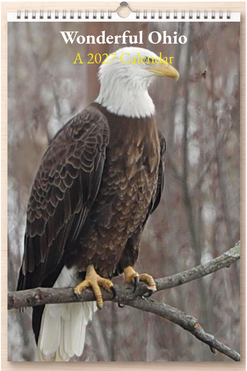 Wonderful Ohio: A 2027 Calendar