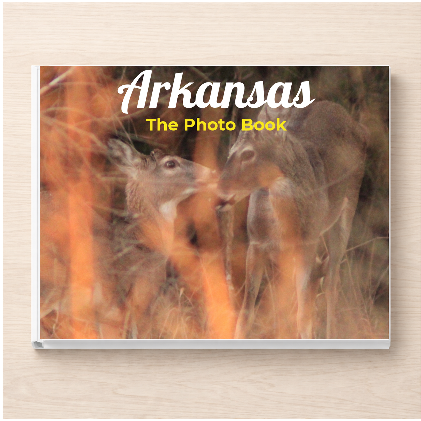 Arkansas: The Photo Book