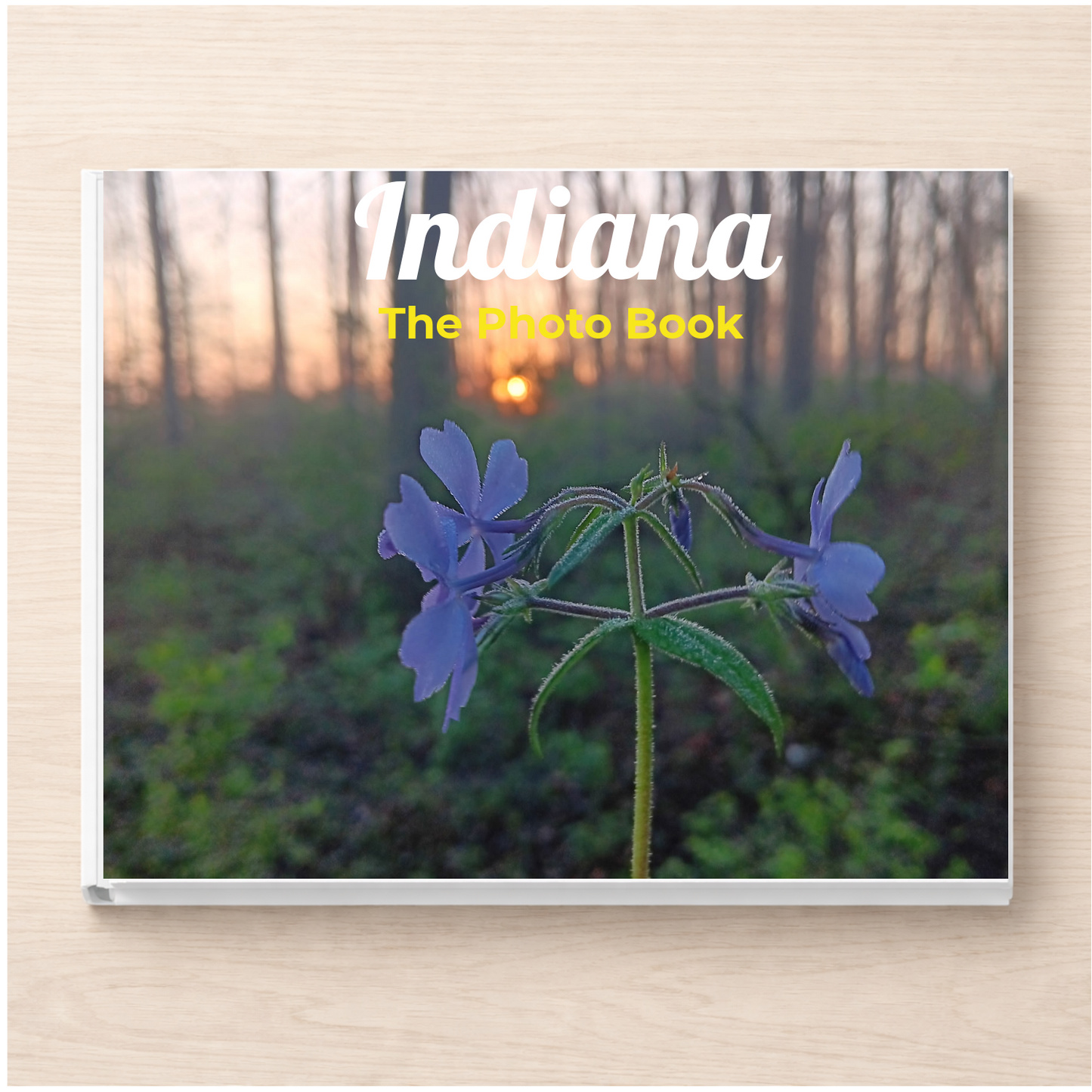 Indiana: The Photo Book