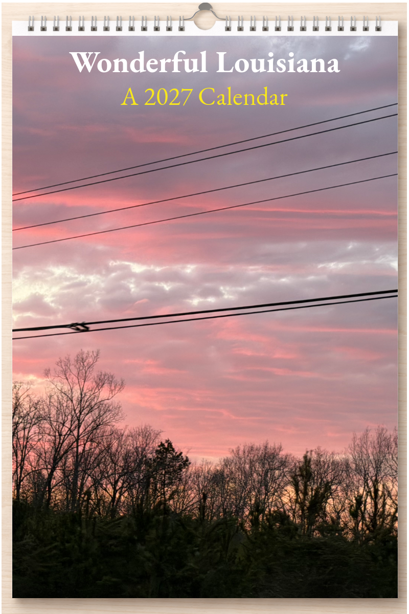 Wonderful Louisiana: A 2027 Calendar