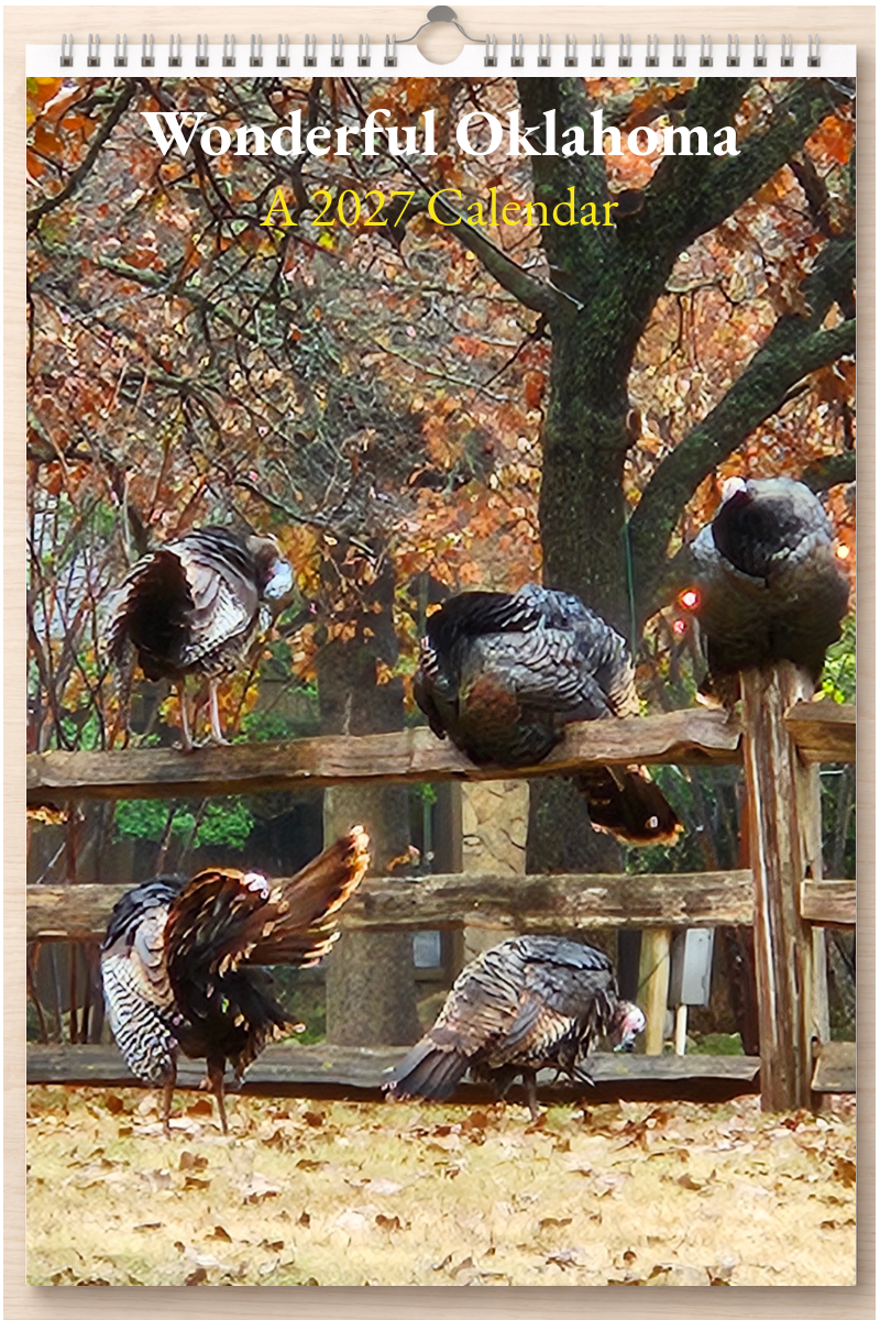 Wonderful Oklahoma: A 2027 Calendar