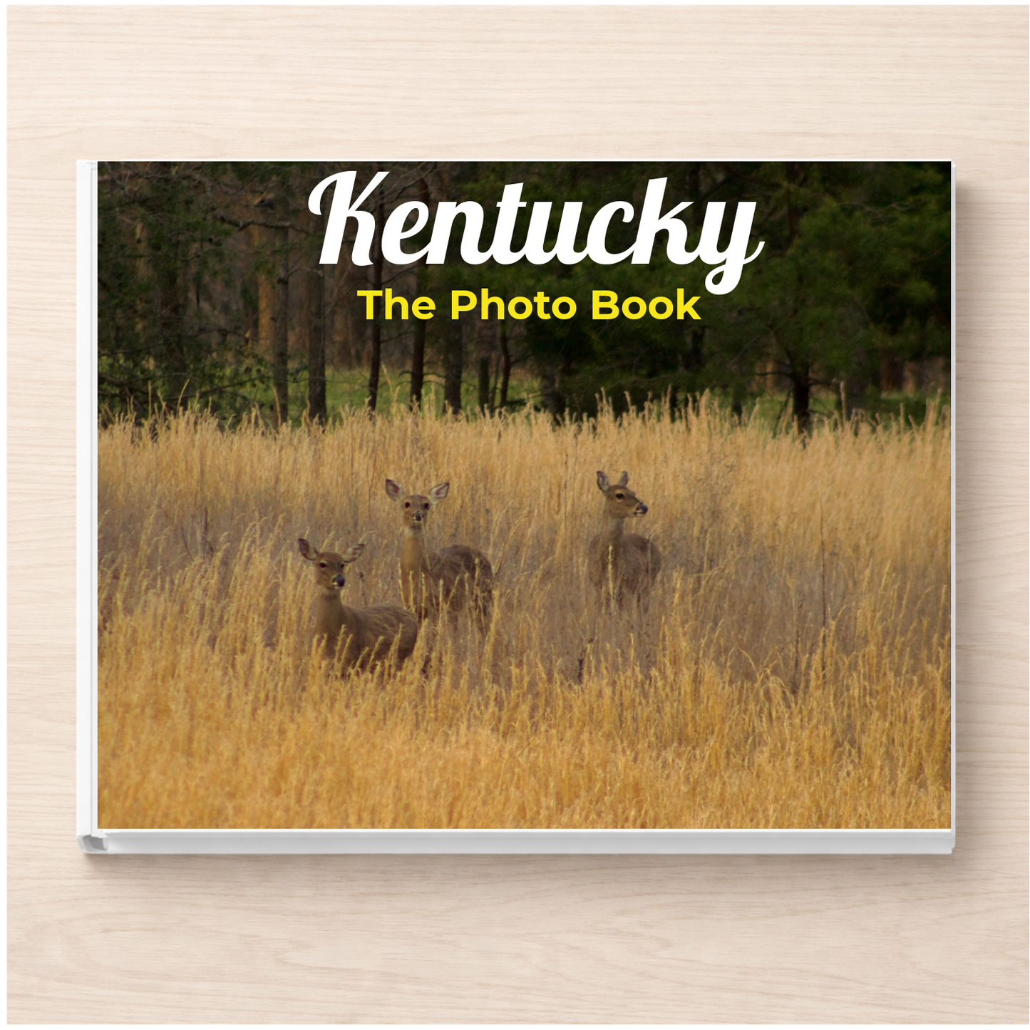 Kentucky: The Photo Book