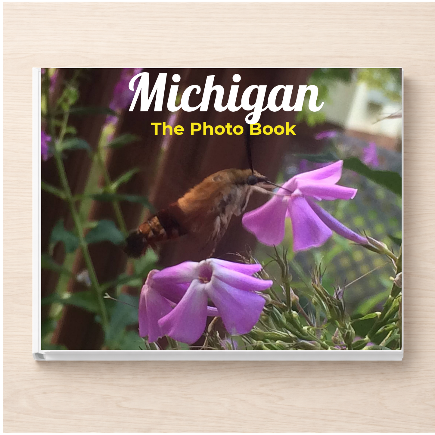 Michigan: The Photo Book