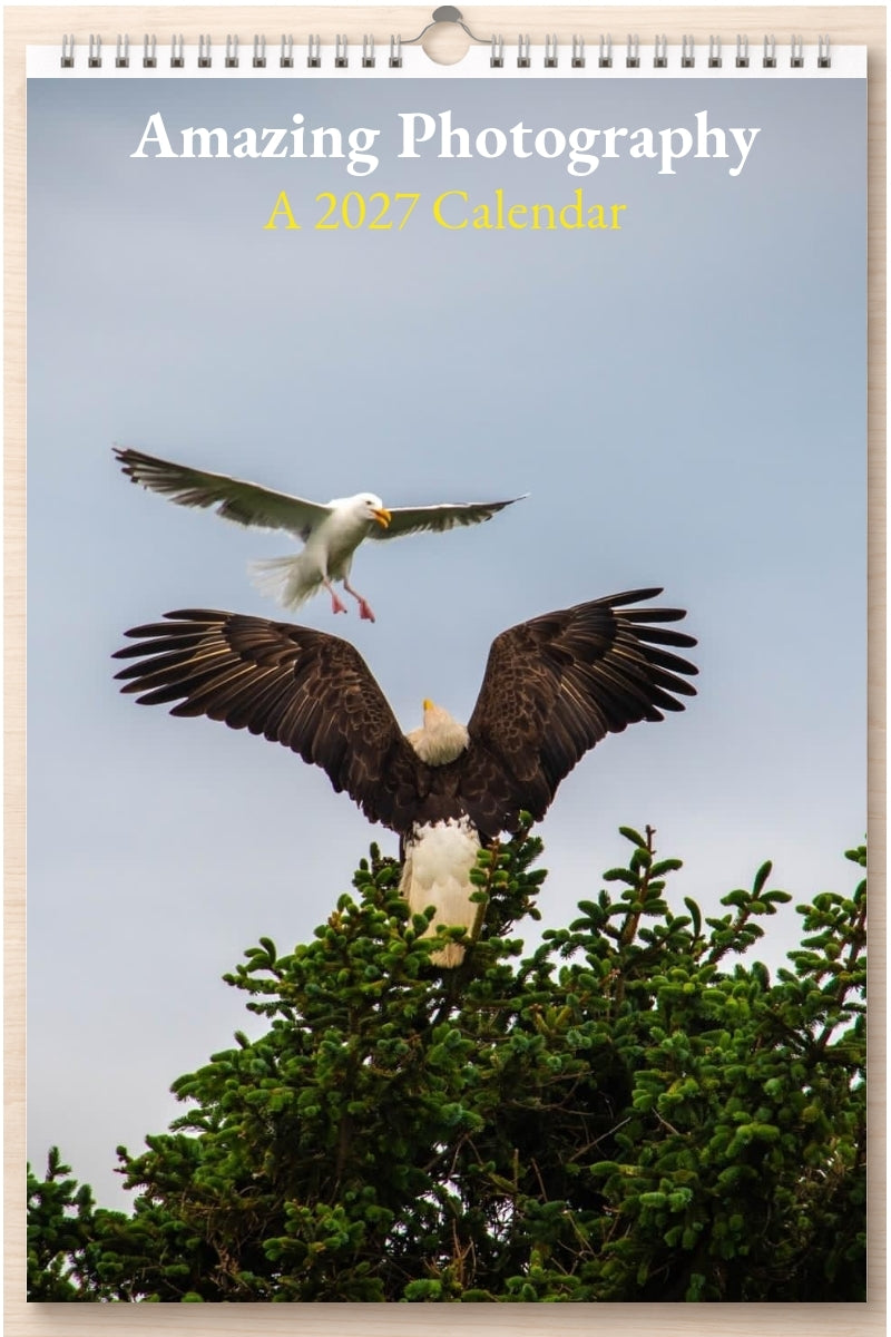 Amazing Photography: A 2027 Calendar