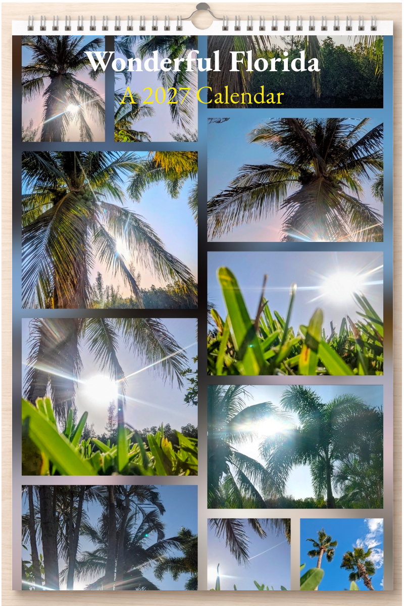Wonderful Florida: A 2027 Calendar