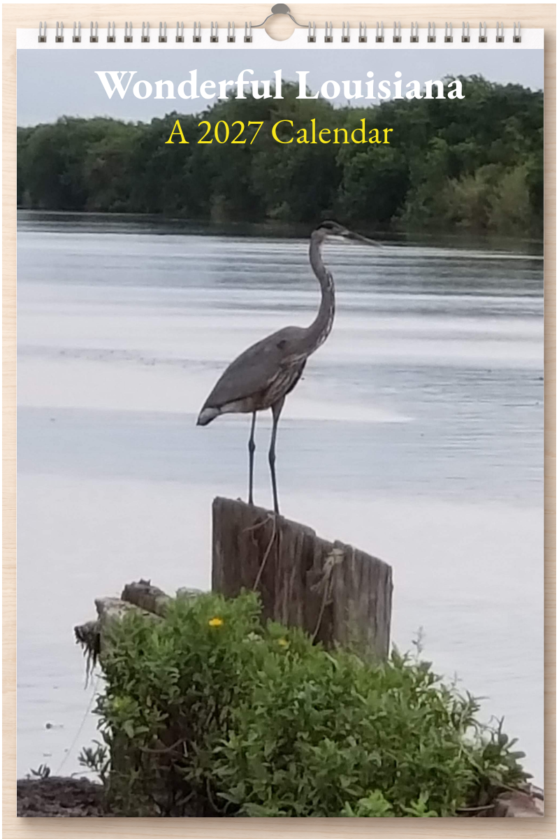 Wonderful Louisiana: A 2027 Calendar