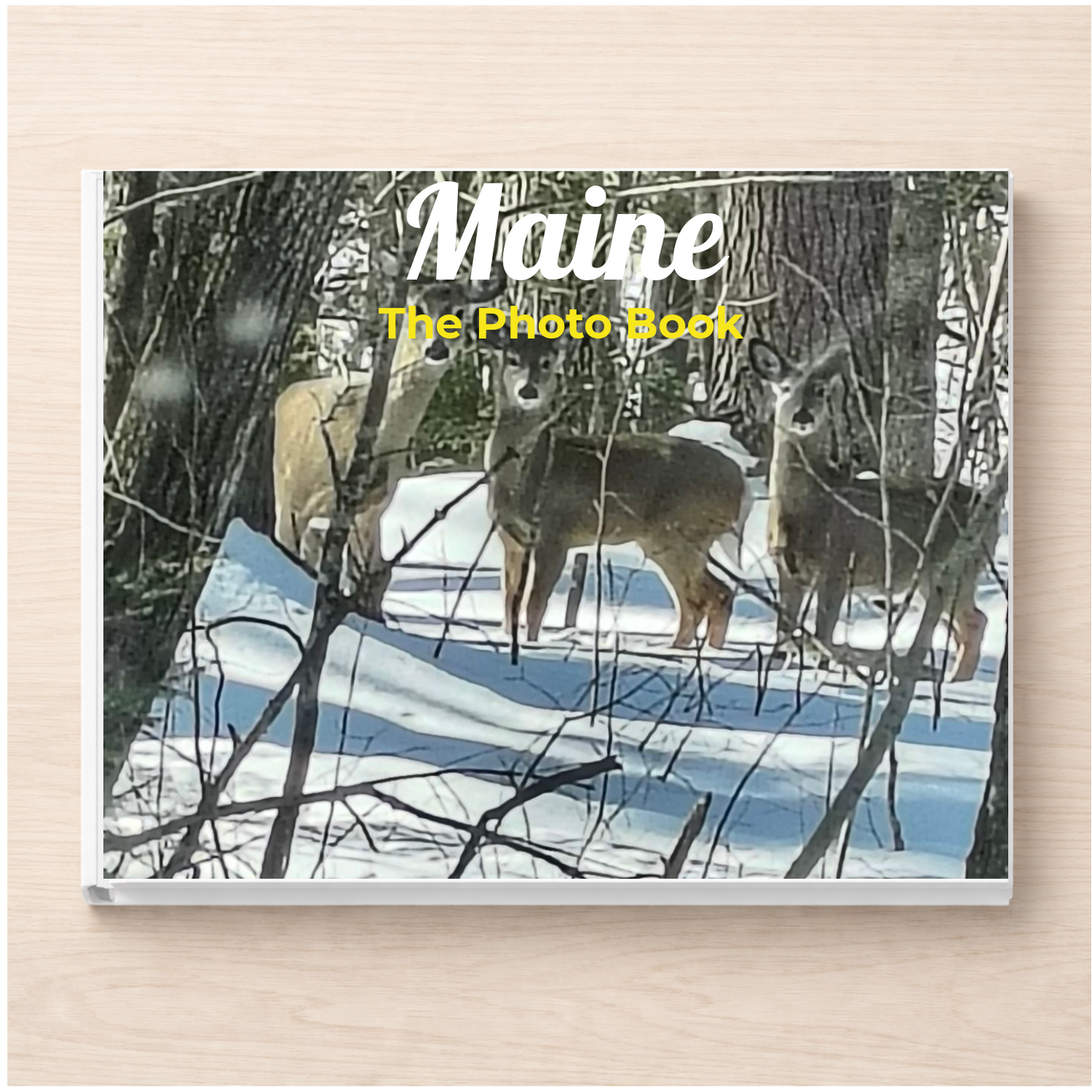 Maine: The Photo Book