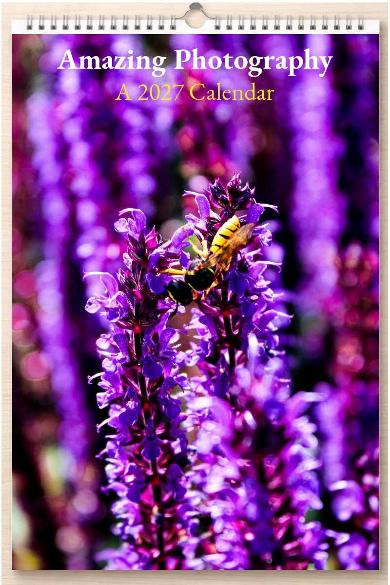 Amazing Photography: A 2027 Calendar