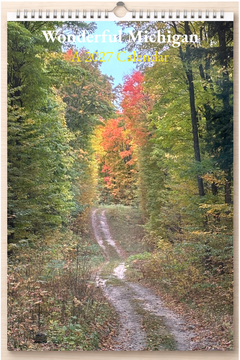 Wonderful Michigan: A 2027 Calendar