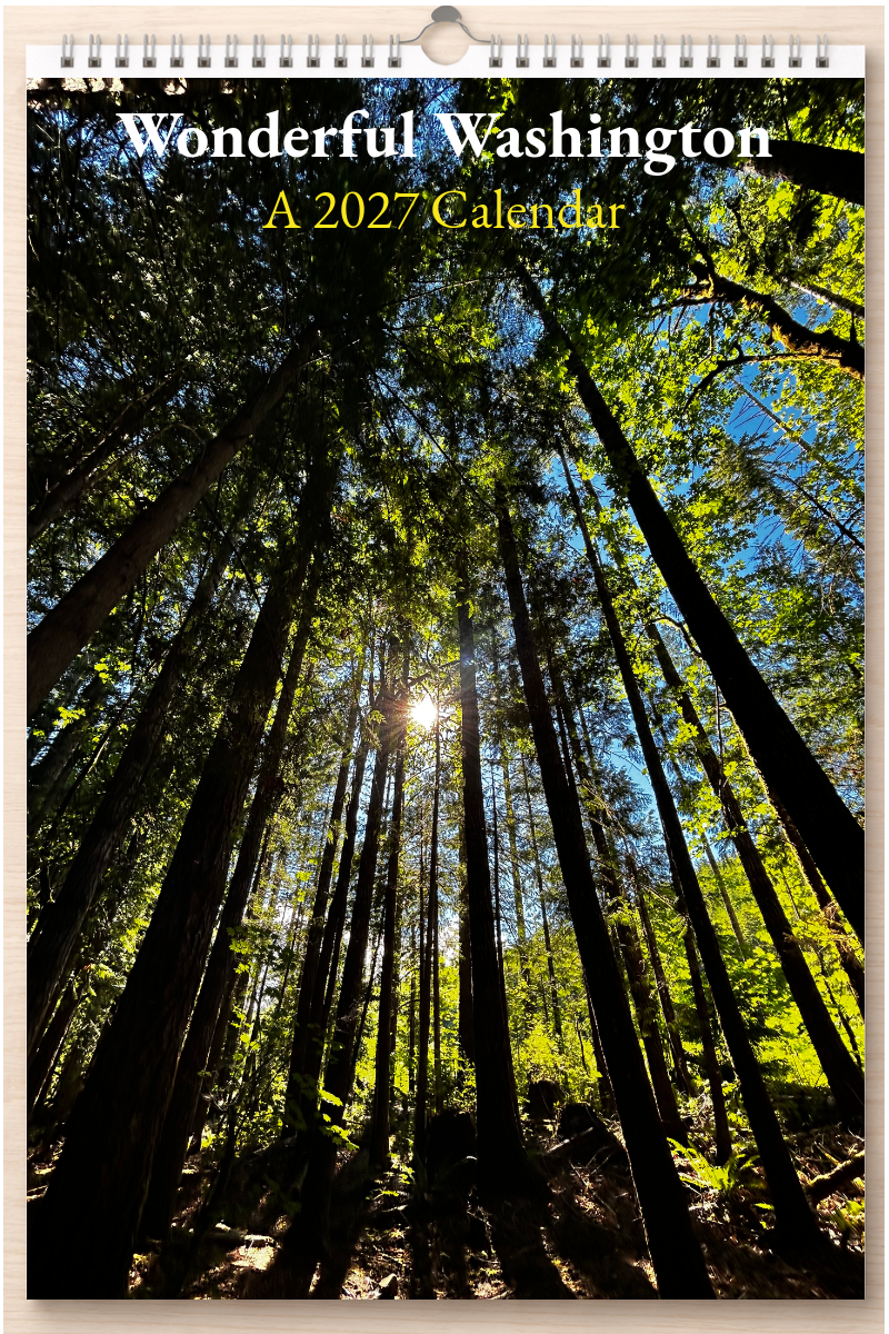 Wonderful Washington: A 2027 Calendar