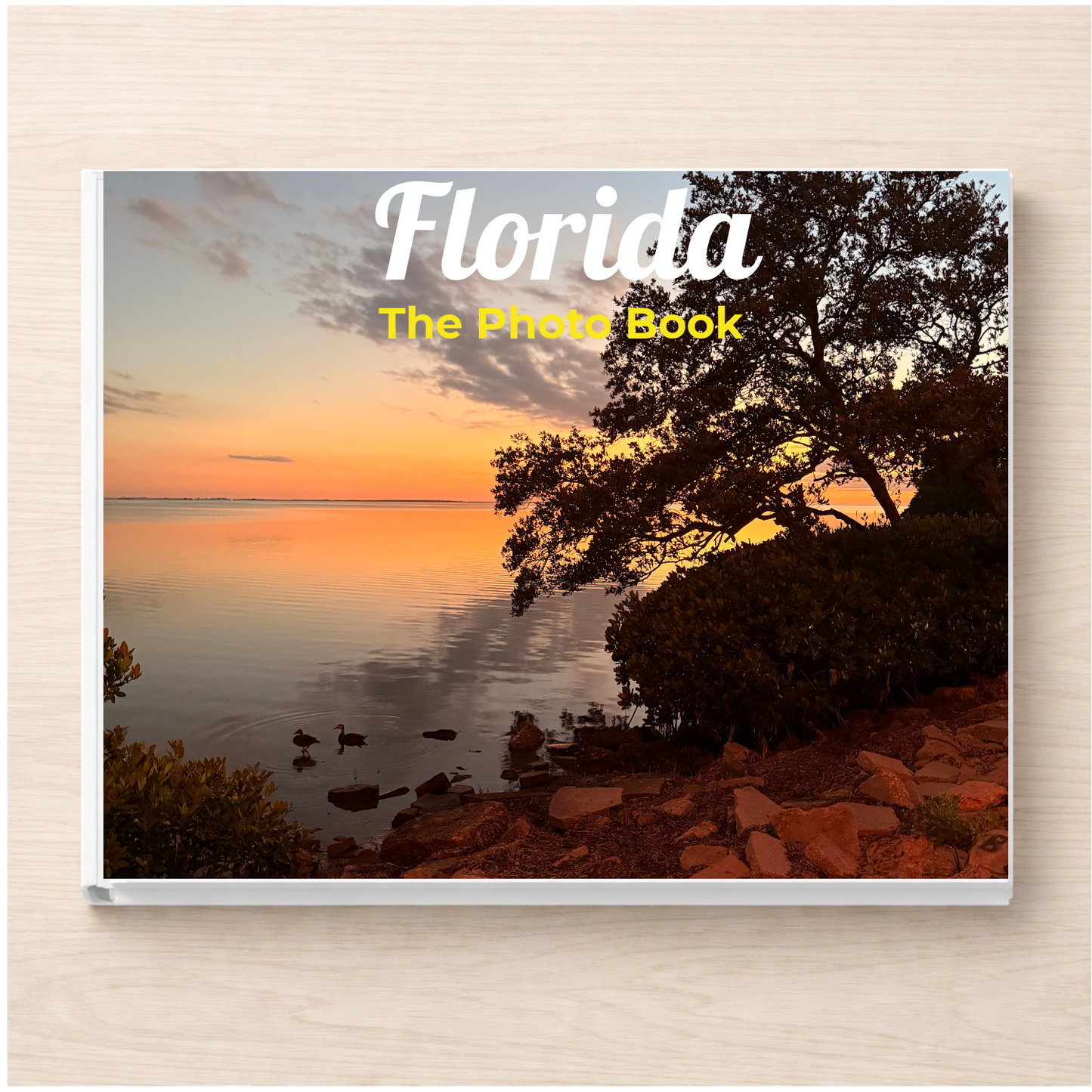 Florida: The Photo Book
